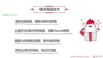 1.1 Go课程概览【深入Go底层原理，重写Redis中间件实战】