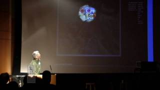 Eyetracking Forum Part 4
