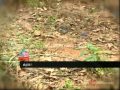 Asianet News Lens