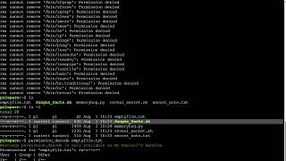 permissions, chmod, chown
