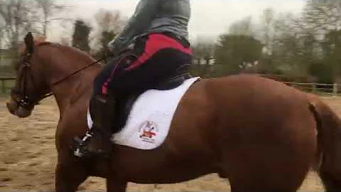 Interdressage - Naomi Sutton, Glen Arch, 8B, Decem...