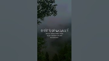 القارئ: أحمد الحمادي، سورة النبأ.. آيات رقم: ٣١-٣٦