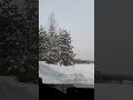 По снежному лесу с песней