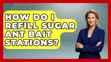How Do I Refill Sugar Ant Bait Stations? - Insects and Invaders