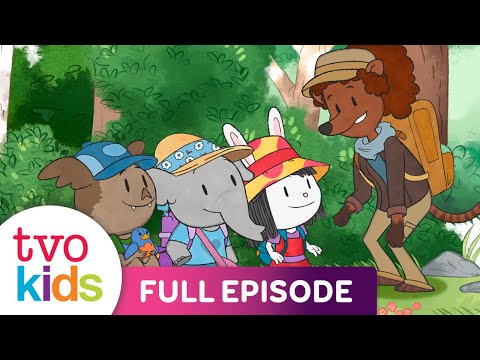 ELINOR WONDERS WHY Wonderful Journey Full Episode