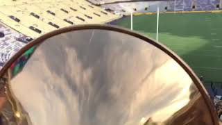 LSU Tiger Rag