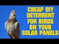 Cheap DIY Pigeon Deterrent for Solar Panels
