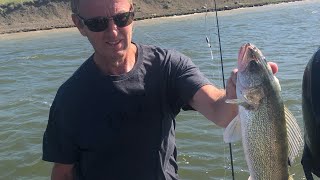 Summer Walleye Bite in Extreme Winds!!! Don't Want to Miss This!!