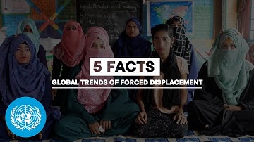 5 Facts: UNHCR Global Trends of Forced Displacement 2024 | United Nations