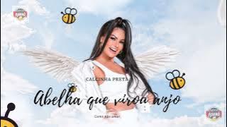Calcinha Preta - Abelha Que Virou Anjo #DVDComoNãoAmar