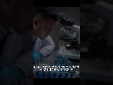헛개의 좋은 효과?!! #짧s