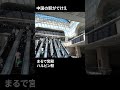 ハルビン駅が宮殿みたい　#中国 #ハルビン