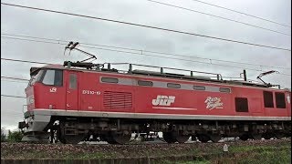 ﾚｯﾄﾞｻﾝﾀﾞｰEF510-19牽引高速貨物3097ﾚ　広島(ﾀ)→新潟(ﾀ)　信越本線