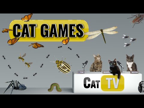 CAT Games | Ultimate Cat TV Bugs and Butterflies Compilation Vol 3 🪲 🐞🦋🦗🐜 | Videos For Cats to Watch