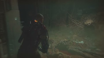 The Callisto Protocol_