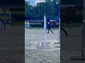 Mega ładny jest ten koń