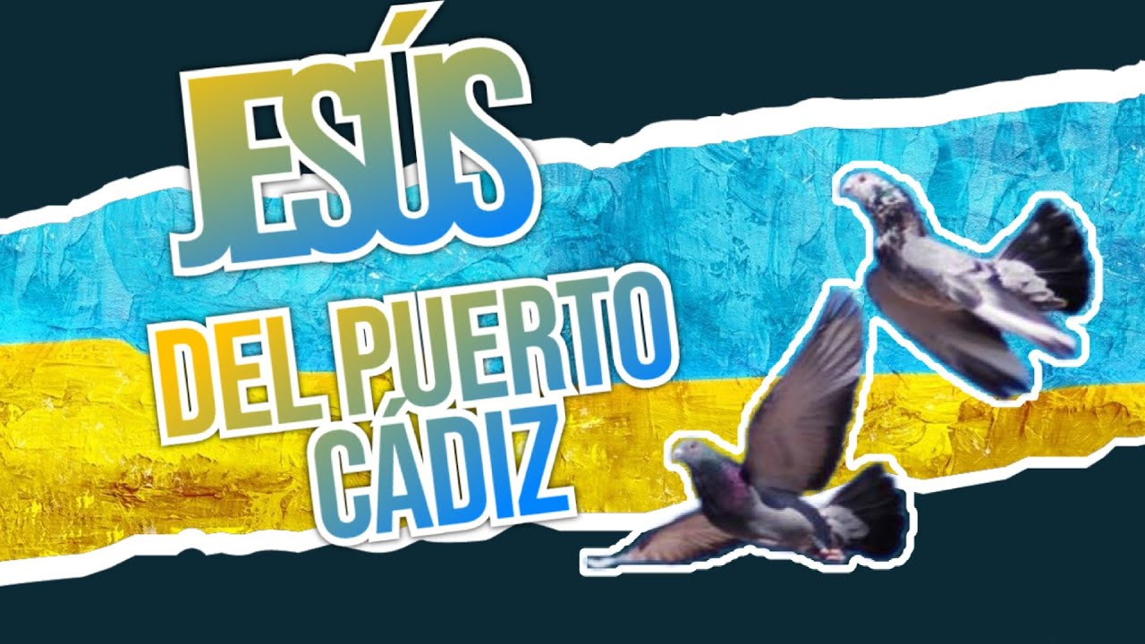 VISITAMOS EL PALOMAR DE JESÚS DEL PUERTO (CÁDIZ) 🕊️ PALOMOS DE CLASE DE SUELTA Y HEMBREO