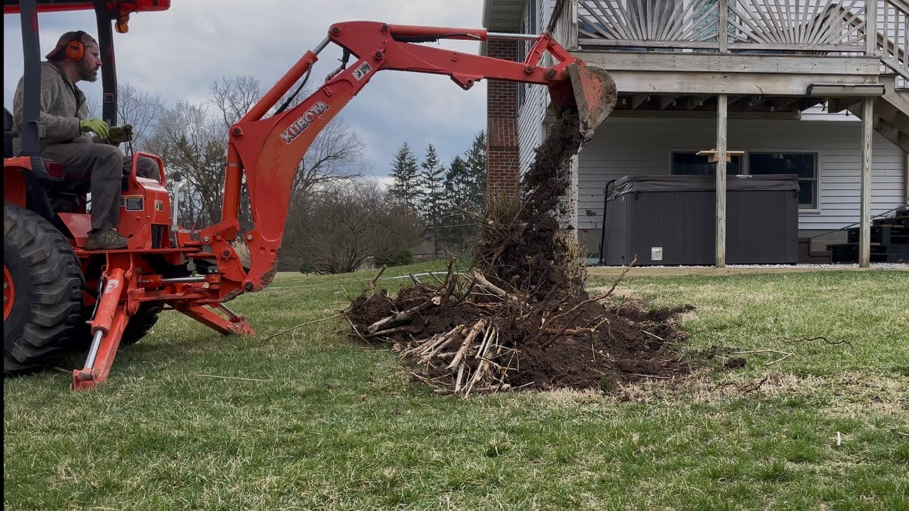 Removing Bushes With a Kubota B26 TLB - YouTube