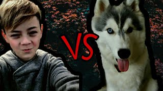 Потерял сознание?//Пранк над собакой) Потерял сознание?//Пранк над собакой)