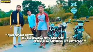 story wa 30 detik||terbaru 2019||anggur merah😂||