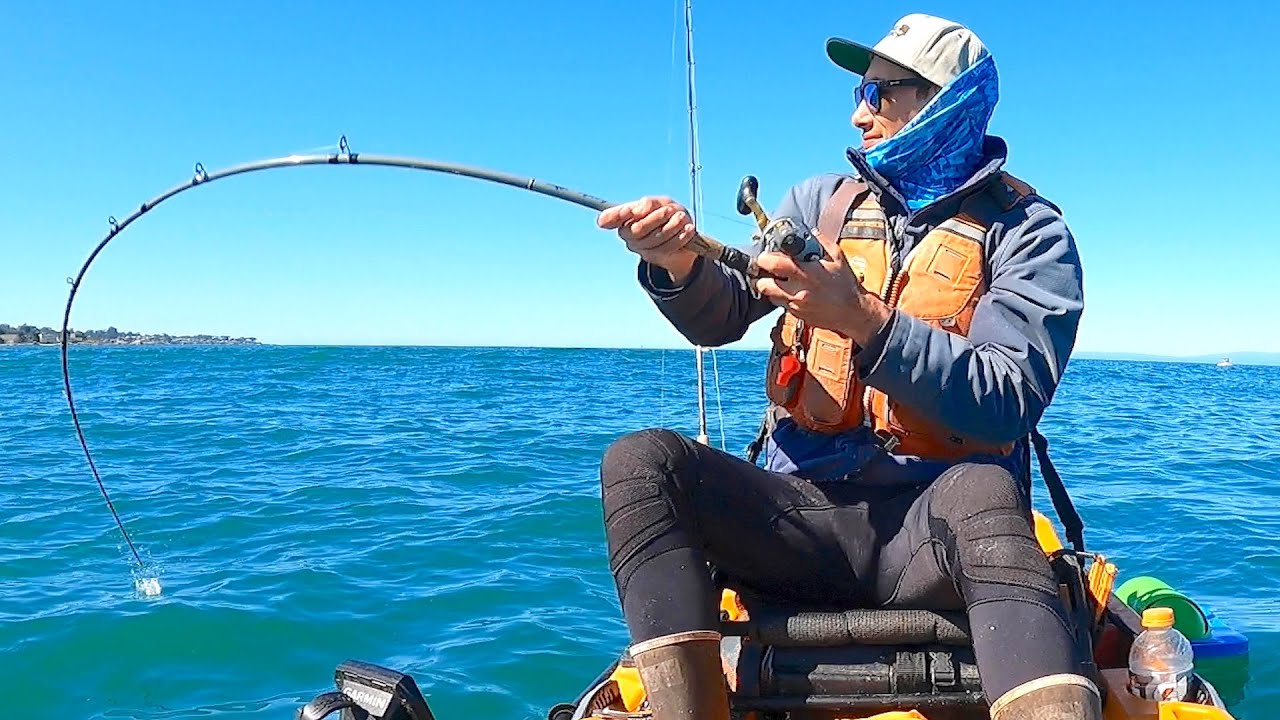 YOU WON'T BELIEVE How Many Times I Caught This Fish - YouTube