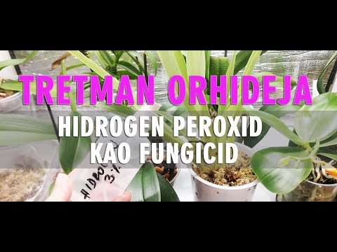 Video: Vodikov peroksid za biljke - Kako koristiti vodikov peroksid u vrtu