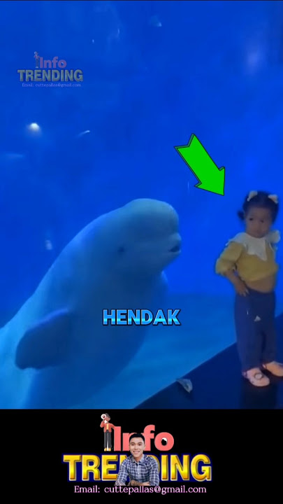 Hiu ini bikin anak menangis #facts #shorts #fishing #mancing