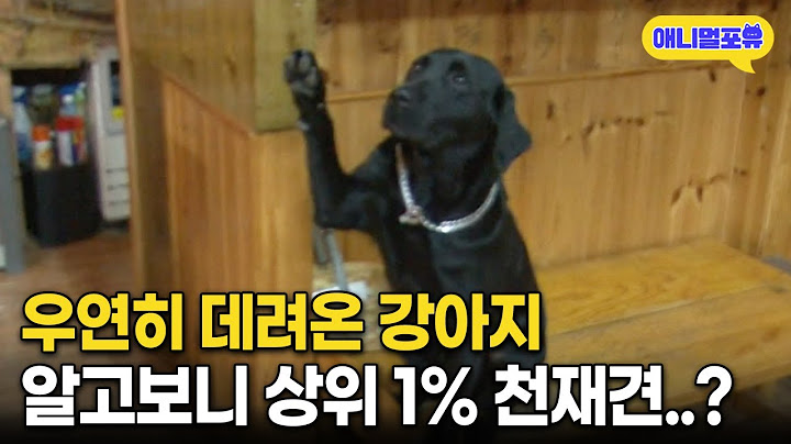 “이렇게 똑똑할 줄 몰랐죠” 식당 사장님이 알바생을 안 쓰는 이유 ㅋㅋㅋ I KBS 생생정보 111107 방송