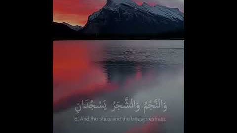 | تلاوة هادئة تريح القلب | سعد الغامدي 🌸💚