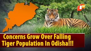 Odisha To Hold Tiger Census By October This Year, Elephant Census To Begin By May 2024
