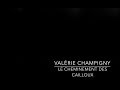Ref:LXpMiWS3jqs Le cheminement des cailloux - val�rie champigny - r�sidence asepf