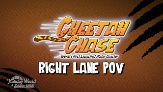 Cheetah Chase POV | Right Lane