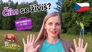 🛠️ 10 Czech Verbs You Must Know with the Instrumental Case