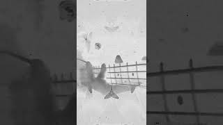 Royal Blood - Ten Over Ten