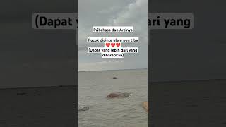Download Lagu Pribahasa dan Artinya, Pucuk dicinta ulam pun tiba artinya Dapat yang #trending #like #pribahasa #up MP3 Download Lagu Pribahasa dan Artinya, Pucuk dicinta ulam pun tiba artinya Dapat yang #trending #like #pribahasa #up MP3
