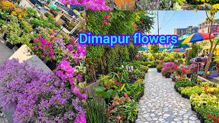Wednesday flowers market dimapur 🌻🥀|| October collection supermarket dimapur nagaland vlog 
