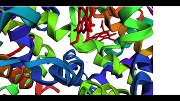 3D Hemoglobin Structural Analysis – AI Accelerate Hackathon Demo