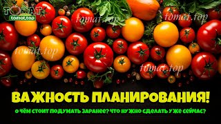 Планирование при выращивании томатов! О чём стоит подумать заранее? Что нужно сделать уже сейчас?