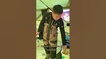 #shorts Как на Сахалине едят жареную корюшку?