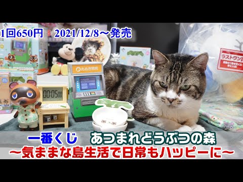 一番くじあつまれどうぶつの森】A賞トントンカンカンキッチンタイマー