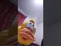 misterio