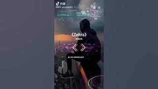 动情不动心   沙鸥遇海滩   斗牛旋律 Remix Tiktok 2023 DJ抖音版 越南鼓卡点