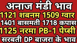 11 Dec अनाज मंडियों में 1121 शबनम 1509 बासमती 1718 नरमा 1401 ग्वार 1125 सरसों PB-1 कपास बाजरा भाव!