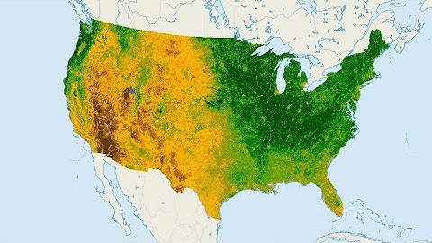 How to make NDVI map in Google Earth Engine || Calculated NDVI using Google Earth Engine || NDVI map