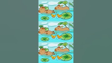 how to draw capybara swimming - Pao Drawing