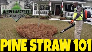 Pine straw how to install - lay- roll - put dow- tuck- buy -  maintain- blow- coverage area