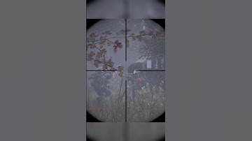 DayZ Solo Vs a 9 Man Team😳