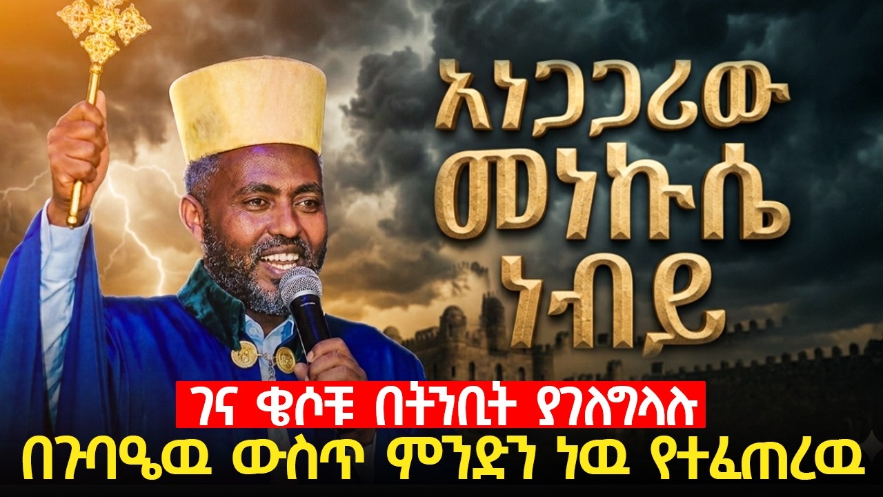 አነጋጋሪዉ መነኩሴ ነብይ // ነብይ ሚራክልን ያስደነቀው // አባቶች ፊት በድፍረት እናገራለሁ የኦርቶዶክስ ነብይ ...