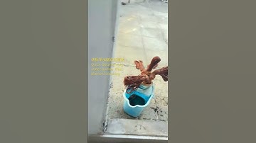 Quick-release water purifier, filter with cleanable filter element #filter #factory #water #pvdf