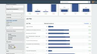 DA247 | Module 4 | Deep Dive into Facebook Audience Insights